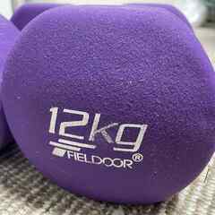FIELDOOR ダンベル12kg×2個セットの画像
