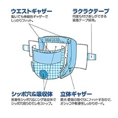 ネオオムツ‼️機能性抜群のペット用オムツ‼️の画像