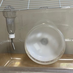 ハムスター用の画像