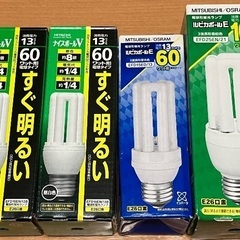 電球形蛍光ランプ