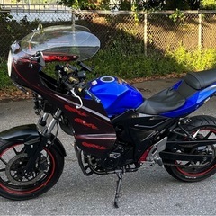 スズキgsx250rの画像