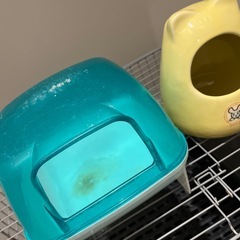 チンチラプレイバス、壺の画像