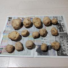 じゃがいも　男爵　2kg　無農薬