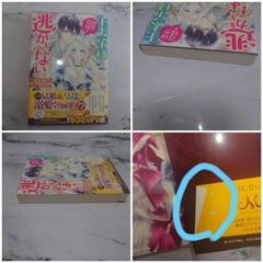 《美品》王太子様は、初恋花嫁を逃がさない。の画像