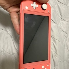 ニンテンドースイッチ　ライトの画像