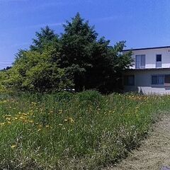建物付土地賃貸