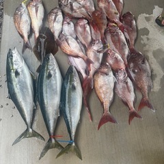 釣り友募集！