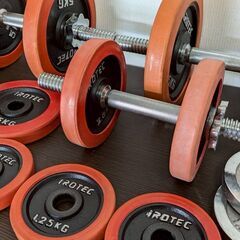 中古品 iROTEC アイロテック ラバーダンベル『総重量41.9kg(ダンベルシャフト込)』 筋トレ トーニングの画像