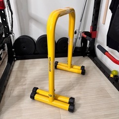ディップスバー