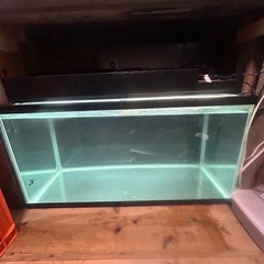 900規格水槽セット
