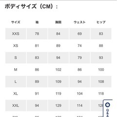 ARC'TERYX ATOM SL HOODY MEN'S Lの画像