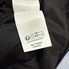 ARC'TERYX ATOM SL HOODY MEN'S Lの画像