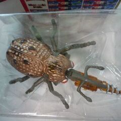 【受渡予定者決定】ゾウムシからロボットへ変身　タカラの画像