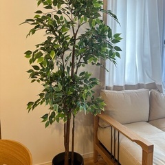 観葉植物(造花)