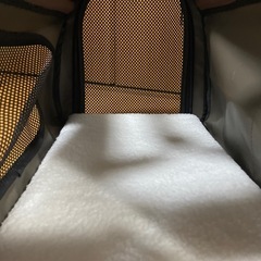 ペットキャリー（アイリスオーヤマ製）の画像