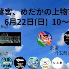 鷲宮、めだかの上物市　メダカ　❇️