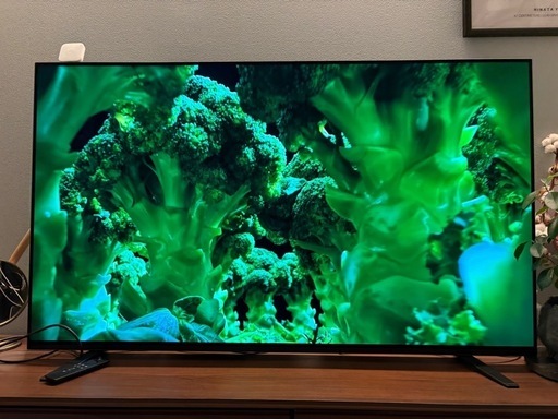 【最終値下げ】SONY BRAVIA 55型4K有機ELテレビ