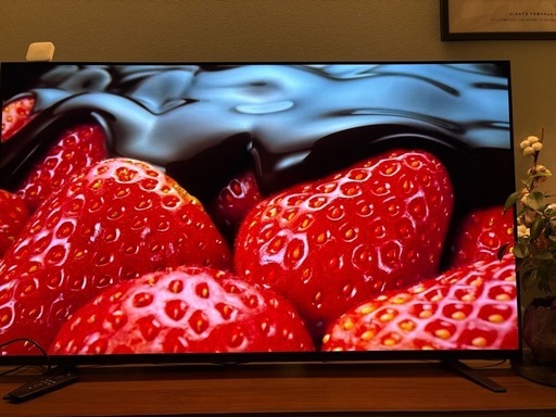 【最終値下げ】SONY BRAVIA 55型4K有機ELテレビ