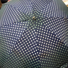 紺色　緑色　水玉模様　ドット柄 折りたたみ傘　折り畳み傘　50cm 大きめ　雨具　傘の画像