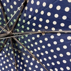 紺色　緑色　水玉模様　ドット柄 折りたたみ傘　折り畳み傘　50cm 大きめ　雨具　傘の画像
