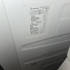 ドラム式洗濯乾燥機 シルバー系 ES-W114-SLの画像