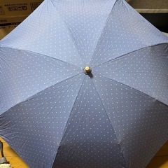 折り畳み傘　水色　ドット柄 折りたたみ傘　資生堂　50cm 水玉模様　ドット柄　可愛い　雨具　女性向けの画像