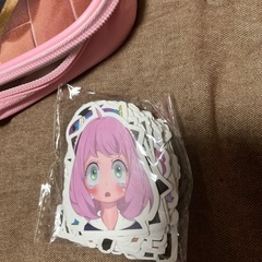スパイファミリーアャーナ筆箱セット
の画像