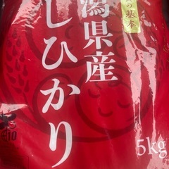 お米５キロ