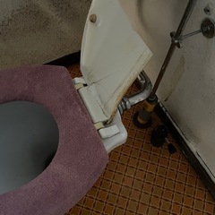 トイレ　蓋　欲しい