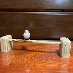 小鳥の卓上止まり木の画像
