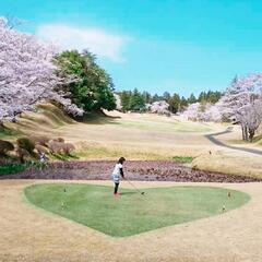 ゴルフ女子友達募集⛳️