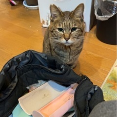 もう一度だけ愛されるチャンスをください。