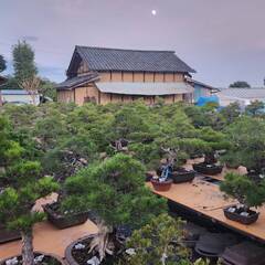 盆栽園管理スタッフ【月給18万円】の画像