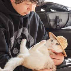 去年から犬猫フォトグラファー始めました！の画像