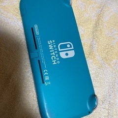 任天堂　Switch light
の画像