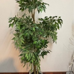 造花　観葉植物  