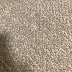 ジュータン160✖️230の画像