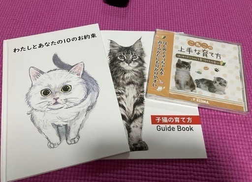 総集編】母猫に育児放棄されて物置で鳴いてた生後1ヶ月の子猫