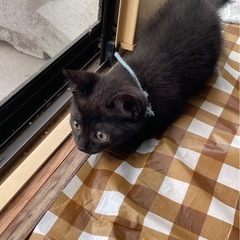 食に関心がない？でも遊ぶの大好き！