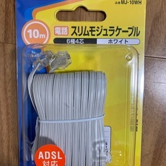 新品　【新品】ELECOM 10m スリムモジュラケーブル