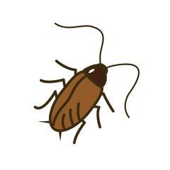 ◎◎『ゴキブリ駆除致します❗️』 (夜間も出動致します。ご…