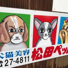 楽しくやりとりできる方