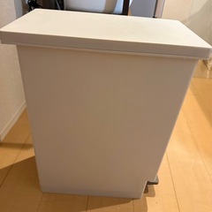 45L ゴミ箱　ニトリ　取引者確定の画像