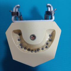 顎　歯　模型　歯科の画像