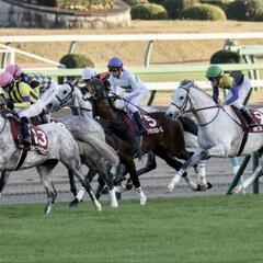 競馬