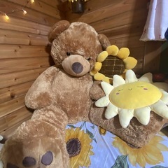 クマのぬいぐるみ🧸