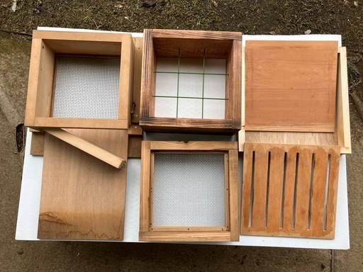 日本ミツバチ 飼育したい方へ！ 6/21. PM23:00終了になります。