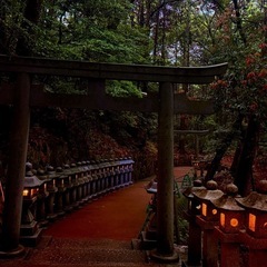 ✨一緒に旅仲間、探しませんか？🚗  ～気ままにふらっと、ゆ…