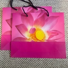 蓮　ペーパーバッグ  4点setの画像