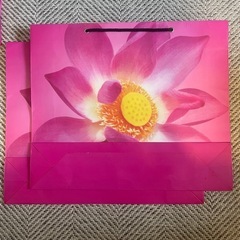 蓮　ペーパーバッグ  4点setの画像